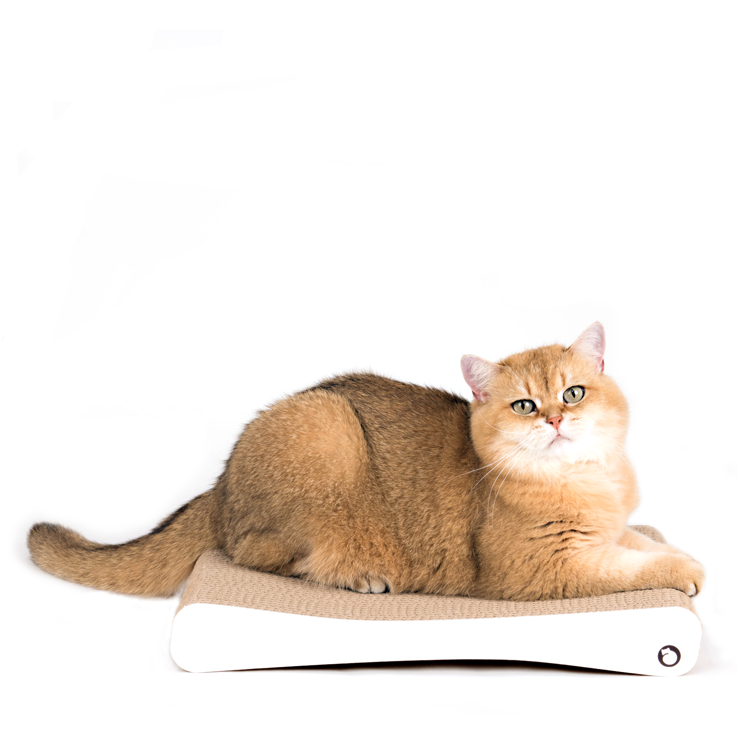 Scratching Cardboard Katida White The Perfect Scratching Solution for Your Cat