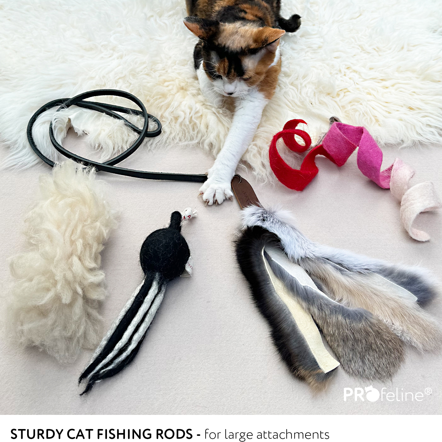 Sturdy Cat Fishing Rod with attachments