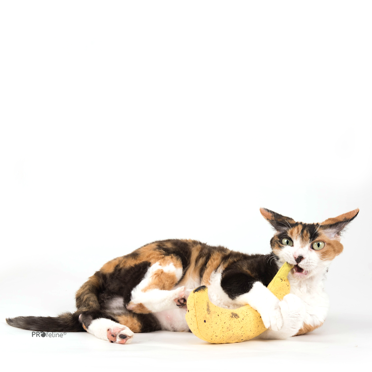 Handcrafted Cat Toys by DreamCat USA Creative Design with Finest Catnip