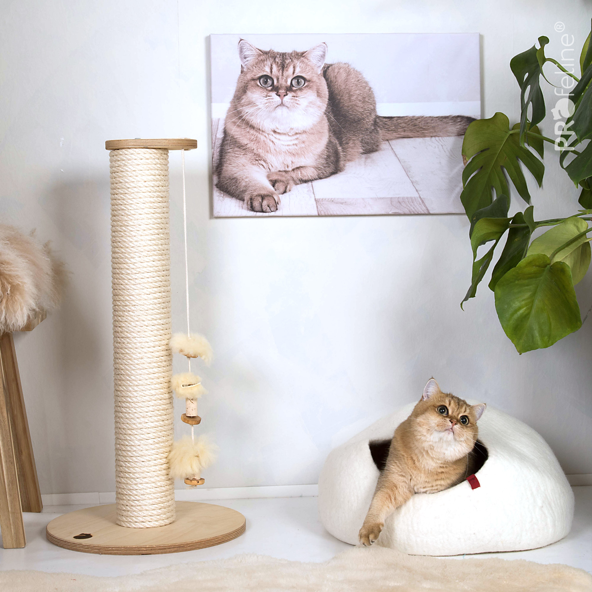 Cat Scratcher Mat Board Scratching Post Mat Toy For Catnip Tower Climbing  Pad Claws Care Pet(pink)