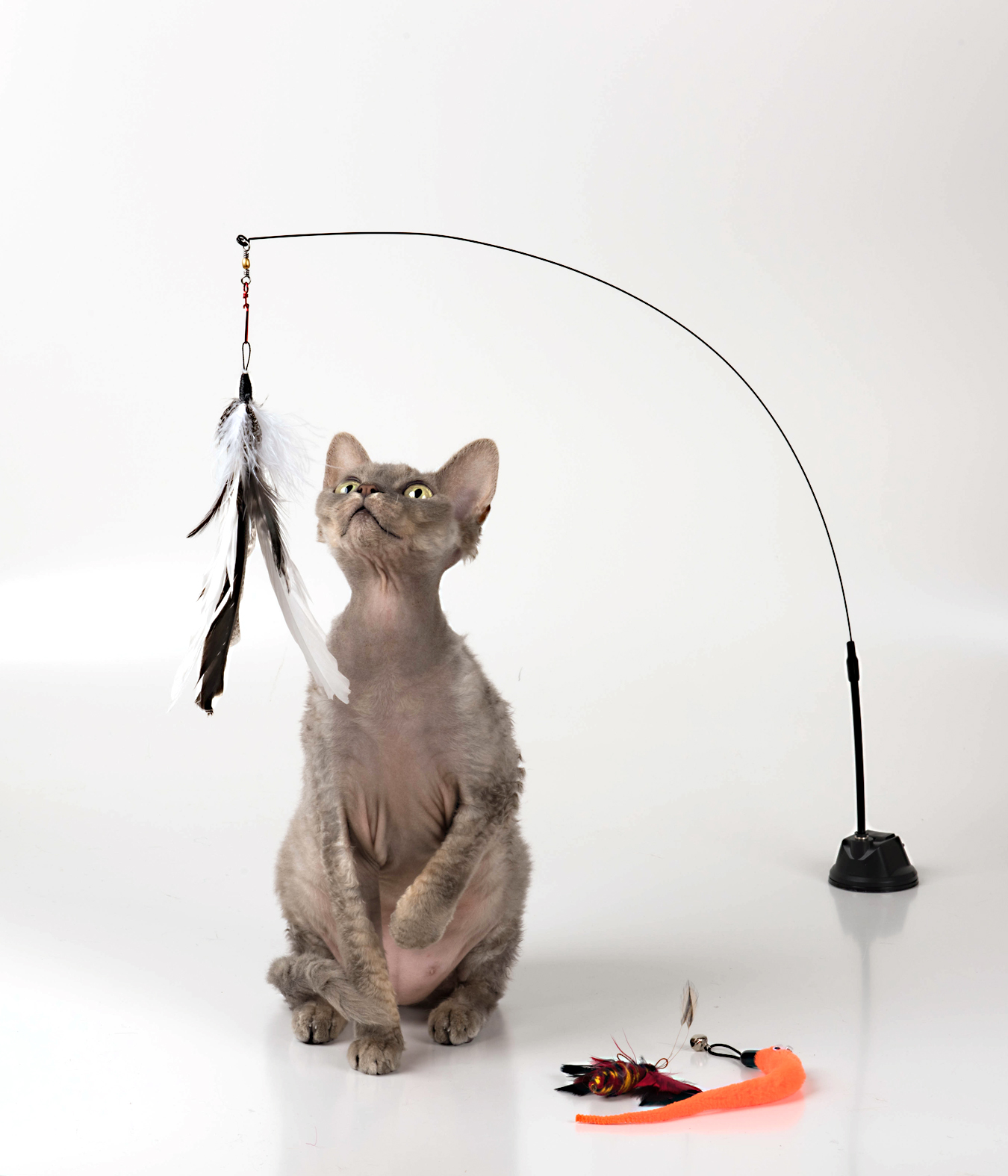 Buy Cat Toys Online - Fun for Cats