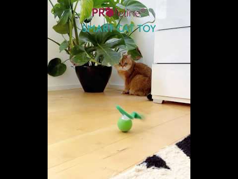 Electric Smart Cat Toy GREEN