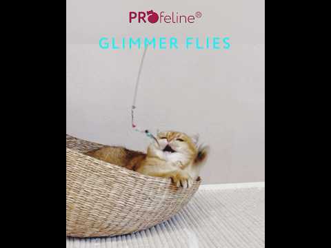 Glimmer Flies Refill