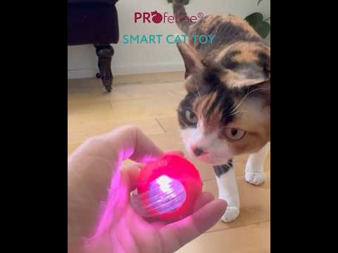 Electric Smart Cat Toy RED